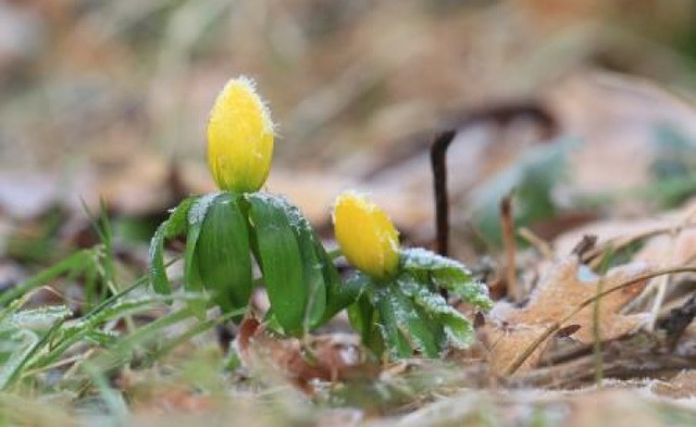 bioblitz-biodiversiteit