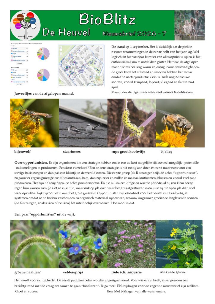 thumbnail of 2026-07-Nieuwsbrief bioblitz