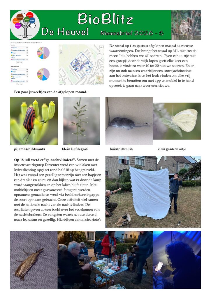 thumbnail of 2026-06-Nieuwsbrief bioblitz